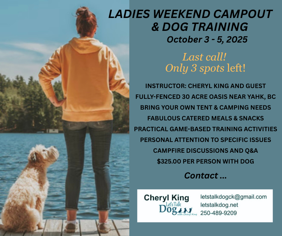 Upcoming Events - Let's Talk Dog